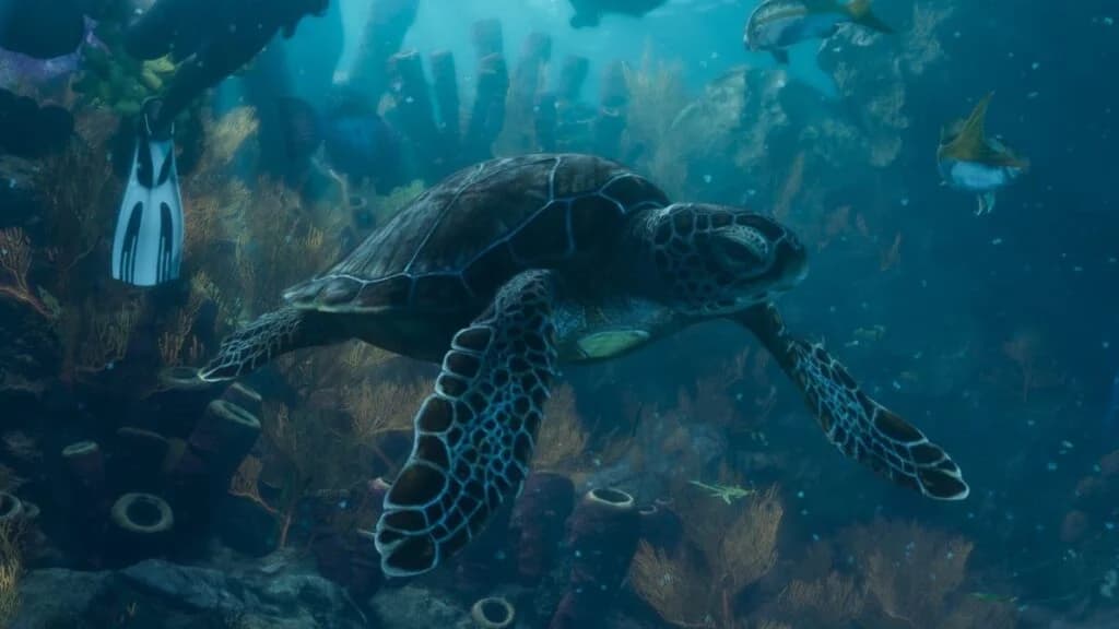 A green sea turtle swimming over a coral reef in GTA 6