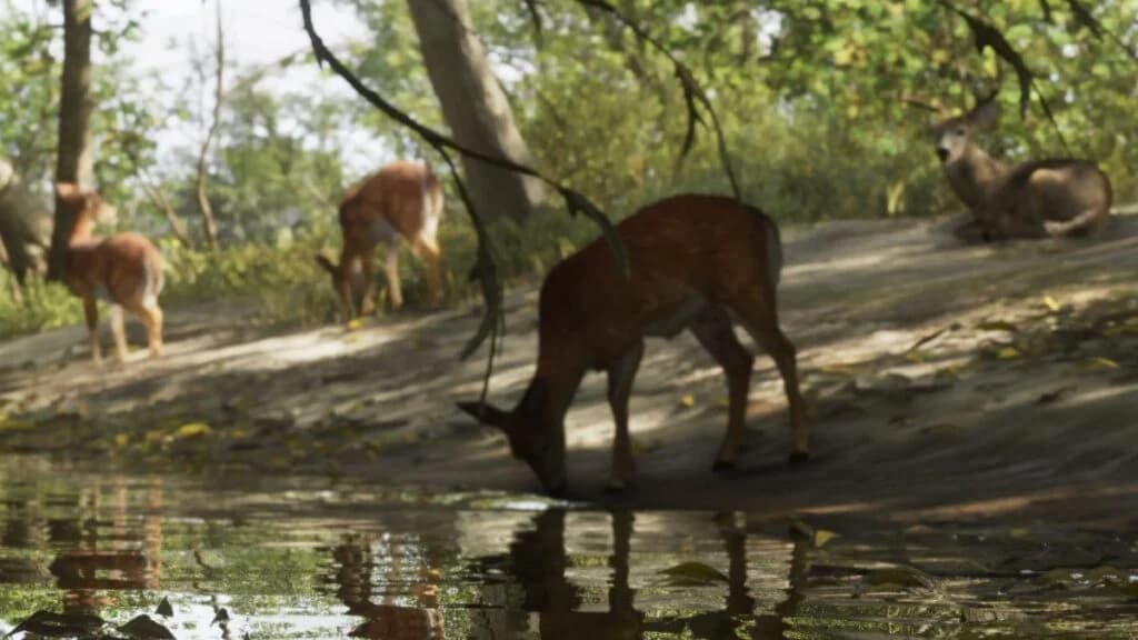 White-tailed deer grazing in a forest clearing in GTA 6