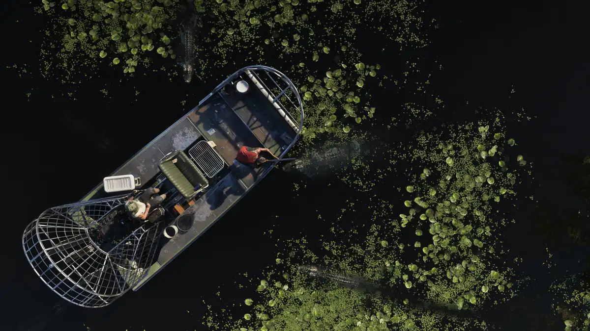 GTA 6 Grassrivers swamp environment showing airboat and wetlands