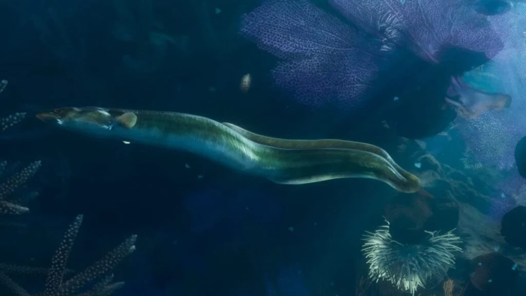 A moray eel hidden inside a coral crevice in GTA 6