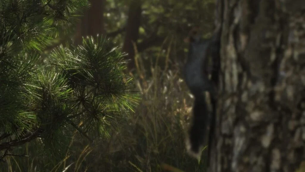 A squirrel perched on a tree branch in a public park in GTA 6